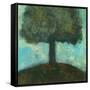 Under the Tree Square II-Cheryl Warrick-Framed Stretched Canvas