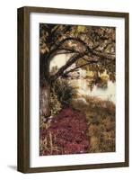 Under the Tree-Mindy Sommers-Framed Giclee Print