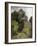 Under the Trees, 1864 (Oil on Board)-Camille Pissarro-Framed Giclee Print