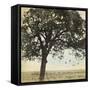 Under the Trees I-Amy Melious-Framed Stretched Canvas