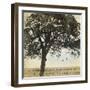 Under the Trees I-Amy Melious-Framed Art Print