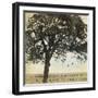 Under the Trees I-Amy Melious-Framed Art Print