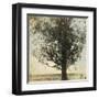 Under the Trees II-Amy Melious-Framed Art Print