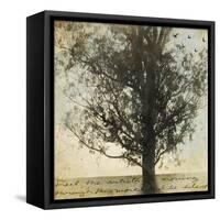 Under the Trees II-Amy Melious-Framed Stretched Canvas