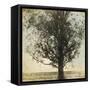 Under the Trees II-Amy Melious-Framed Stretched Canvas