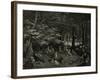 Under the Trees Regent's-Gustave Dore-Framed Giclee Print