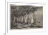 Under the Vines, Italy-Harry John Johnson-Framed Giclee Print