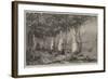 Under the Vines, Italy-Harry John Johnson-Framed Giclee Print