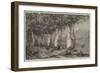 Under the Vines, Italy-Harry John Johnson-Framed Giclee Print