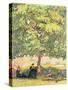 Under the Walnut Tree, 1908-Giovanni Giacometti-Stretched Canvas