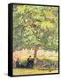 Under the Walnut Tree, 1908-Giovanni Giacometti-Framed Stretched Canvas