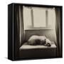 Under the Window-Tim Kahane-Framed Stretched Canvas