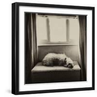 Under the Window-Tim Kahane-Framed Photographic Print