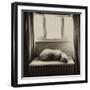 Under the Window-Tim Kahane-Framed Photographic Print