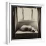 Under the Window-Tim Kahane-Framed Photographic Print