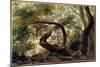 Under Wood, Trees with Twisting Branches Painting by Pierre H. De Valenciennes (1750-1850) 19Th Cen-Pierre Henri de Valenciennes-Mounted Giclee Print