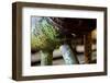 Underbelly-Dana Styber-Framed Photographic Print