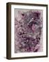 Undercover Pink Lover I-J Aiello-Framed Giclee Print