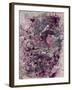 Undercover Pink Lover I-J Aiello-Framed Giclee Print