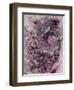 Undercover Pink Lover I-J Aiello-Framed Giclee Print