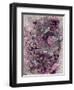 Undercover Pink Lover I-J Aiello-Framed Giclee Print