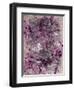 Undercover Pink Lover II-J Aiello-Framed Giclee Print