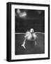 Underfed Duck Struggling in Detergent-null-Framed Photographic Print