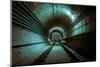 Underground Metro Line-pictore-Mounted Photographic Print