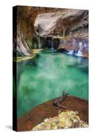 Underground Pool at The Subway, Zion National Park-Vincent James-Stretched Canvas