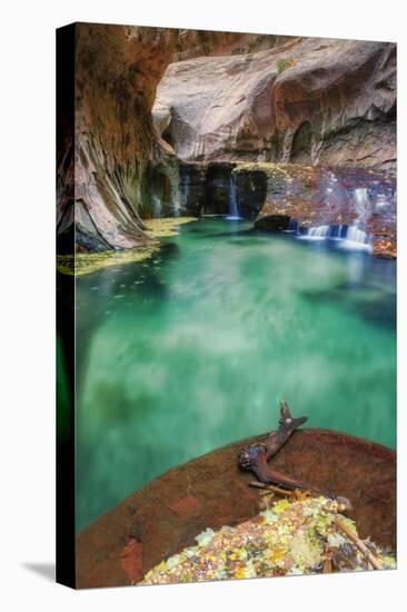 Underground Pool at The Subway, Zion National Park-Vincent James-Stretched Canvas