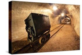 Underground Train in Mine, Carts in Gold, Silver and Copper Mine.-TTstudio-Stretched Canvas