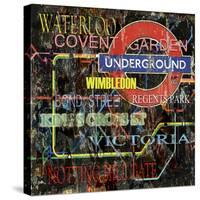 Underground-Karen Williams-Stretched Canvas