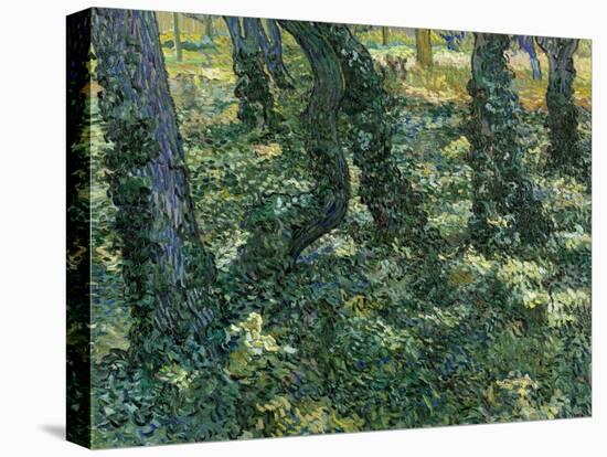 Undergrowth, 1889-Vincent van Gogh-Stretched Canvas