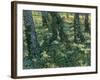 Undergrowth, 1889-Vincent van Gogh-Framed Giclee Print