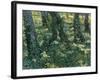 Undergrowth, 1889-Vincent van Gogh-Framed Giclee Print