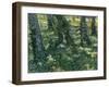 Undergrowth, 1889-Vincent van Gogh-Framed Giclee Print