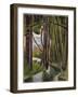 Undergrowth, 1910-Roger de La Fresnaye-Framed Giclee Print