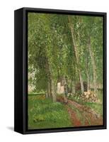 Undergrowth at Moret, 1902-Camille Pissarro-Framed Stretched Canvas