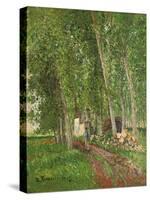 Undergrowth at Moret, 1902-Camille Pissarro-Stretched Canvas