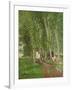 Undergrowth at Moret, 1902-Camille Pissarro-Framed Giclee Print