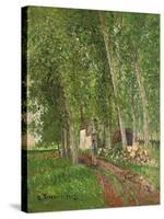 Undergrowth at Moret, 1902-Camille Pissarro-Stretched Canvas