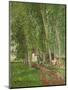 Undergrowth at Moret, 1902-Camille Pissarro-Mounted Giclee Print