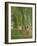 Undergrowth at Moret, 1902-Camille Pissarro-Framed Giclee Print