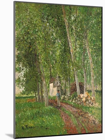 Undergrowth at Moret, 1902-Camille Pissarro-Mounted Giclee Print