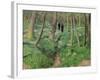 Undergrowth in Spring, 1923-Félix Vallotton-Framed Premium Giclee Print