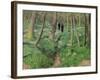 Undergrowth in Spring, 1923-Félix Vallotton-Framed Premium Giclee Print