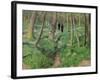 Undergrowth in Spring, 1923-Félix Vallotton-Framed Premium Giclee Print