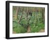 Undergrowth in Spring, 1923-Félix Vallotton-Framed Premium Giclee Print