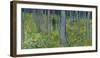 Undergrowth With Two Figures, 1890-Vincent Van Gogh-Framed Giclee Print