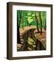 Undergrowth-Félix Vallotton-Framed Giclee Print